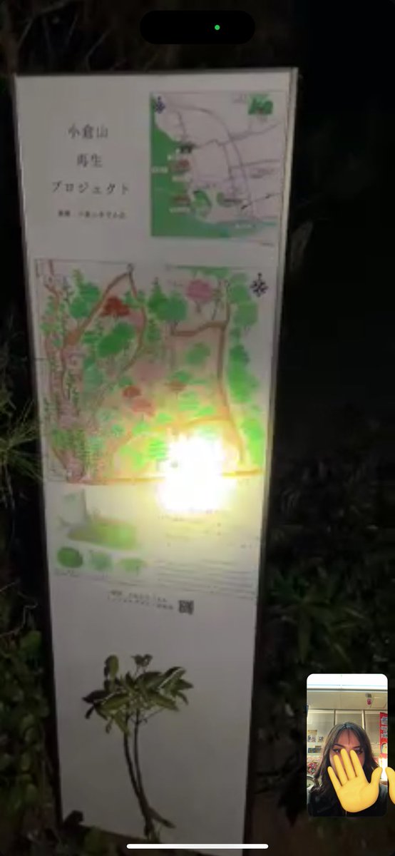 lorenaaorsi's tweet photo. rafael ta em arashiyama forest casualmente explorando este queridíssimo lugar em plena meia noite SOZINHO

eu por ser mulher e por ter VISTO FILMES DE TERROR SUFICIENTE nao me submeti a isso, entao pra me incluir na experiência ele tava em call comigo, mas a bateria dele acabou de acabar 🤩

deem um leve google no lugar pra vcs entenderem 😍😍