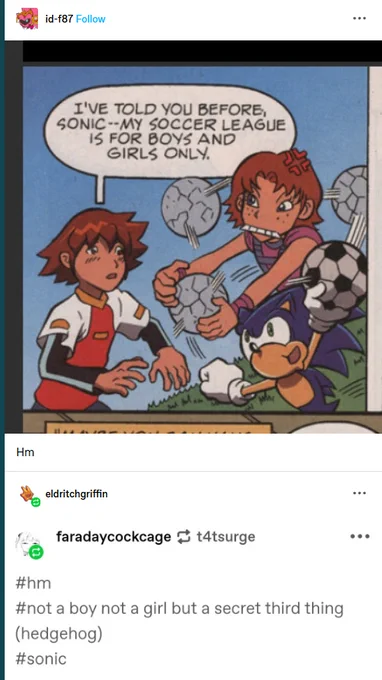 https://t.co/pG0w9rN4Bj 

Sonic's gender is hedgehog 