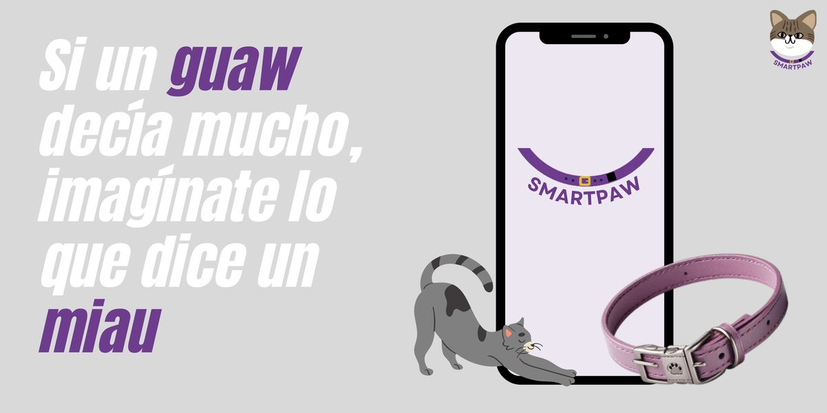 smart__paw's tweet photo. Sentimos que José María anticipara esta sorpresa…SMARTPAW para gatos también!!! pronto os contamos mas😽😽😽 #smartpaw #gatos 💜 https://t.co/oSKFmd1Phl