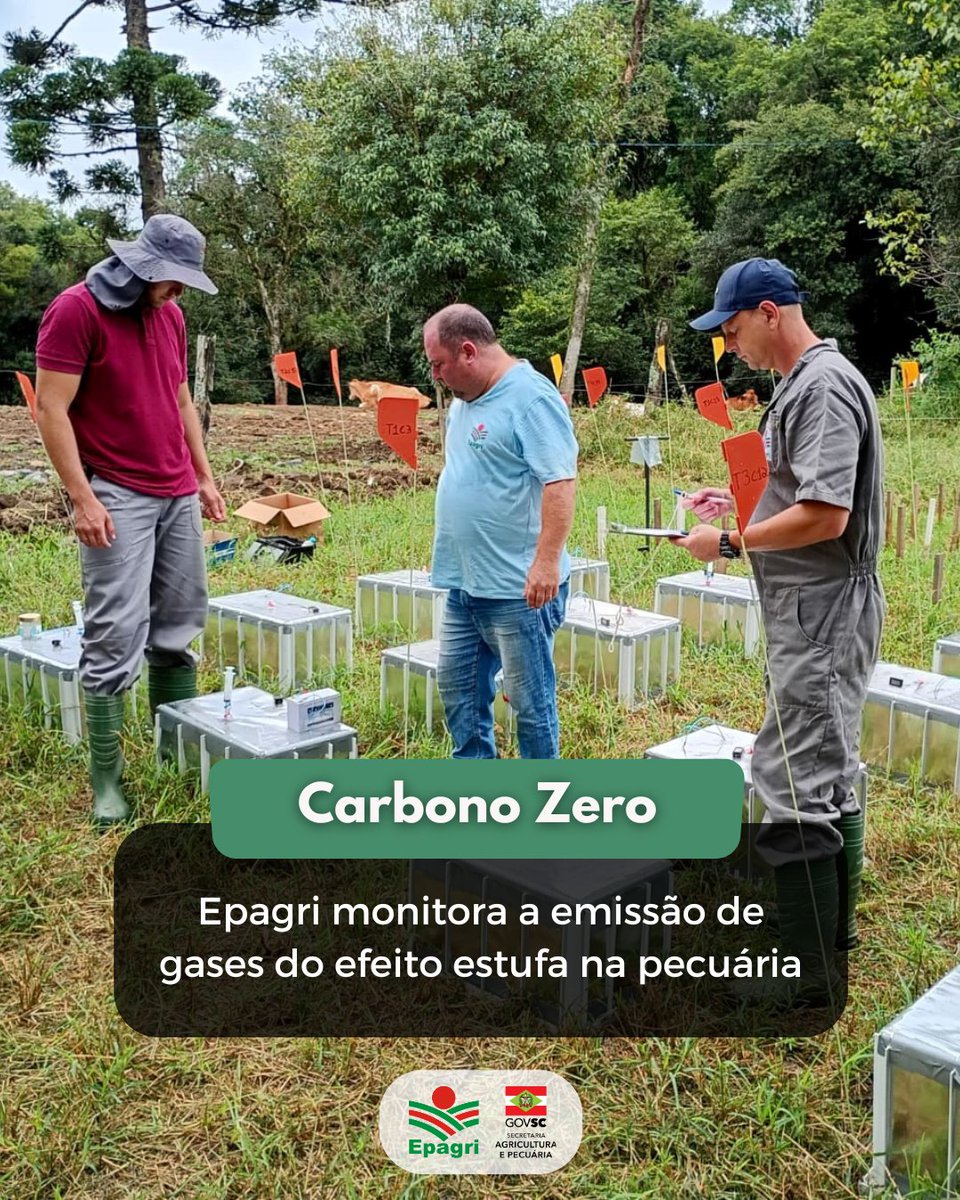 🔎🌱Essas "caixinhas" no pasto servem para medir a emissão de gases de efeito-estufa na pecuária.

♻️O estudo faz parte do projeto Pecuária ConSCiente Carbono Zero, conduzido pela Epagri.

👉Vem ler essa notícia: x.gd/7dIP8

#carbonozero #pecuáriasustentável