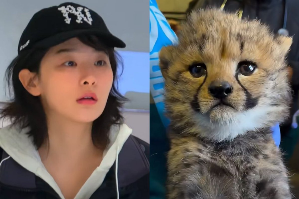 xiongseulgi's tweet photo. 🐆 https://t.co/oxUyB1s6C9