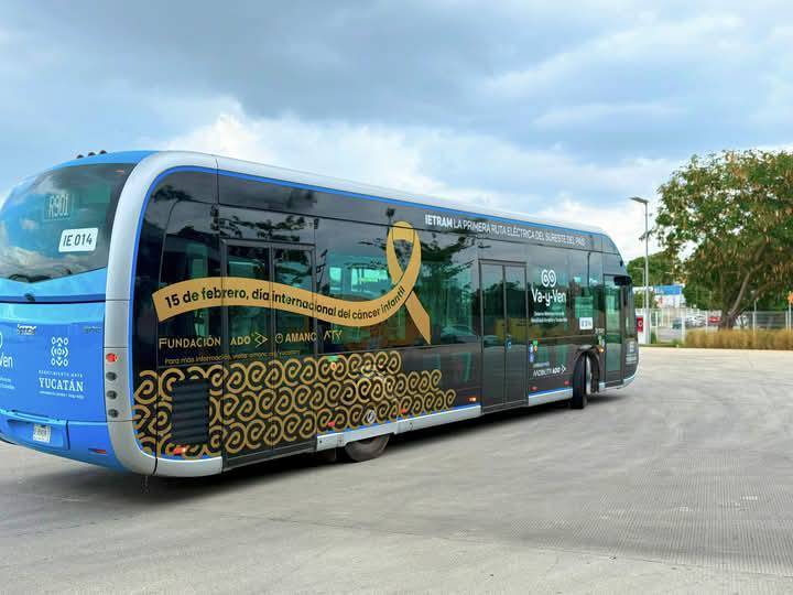 AMANC Yucatán tweet media