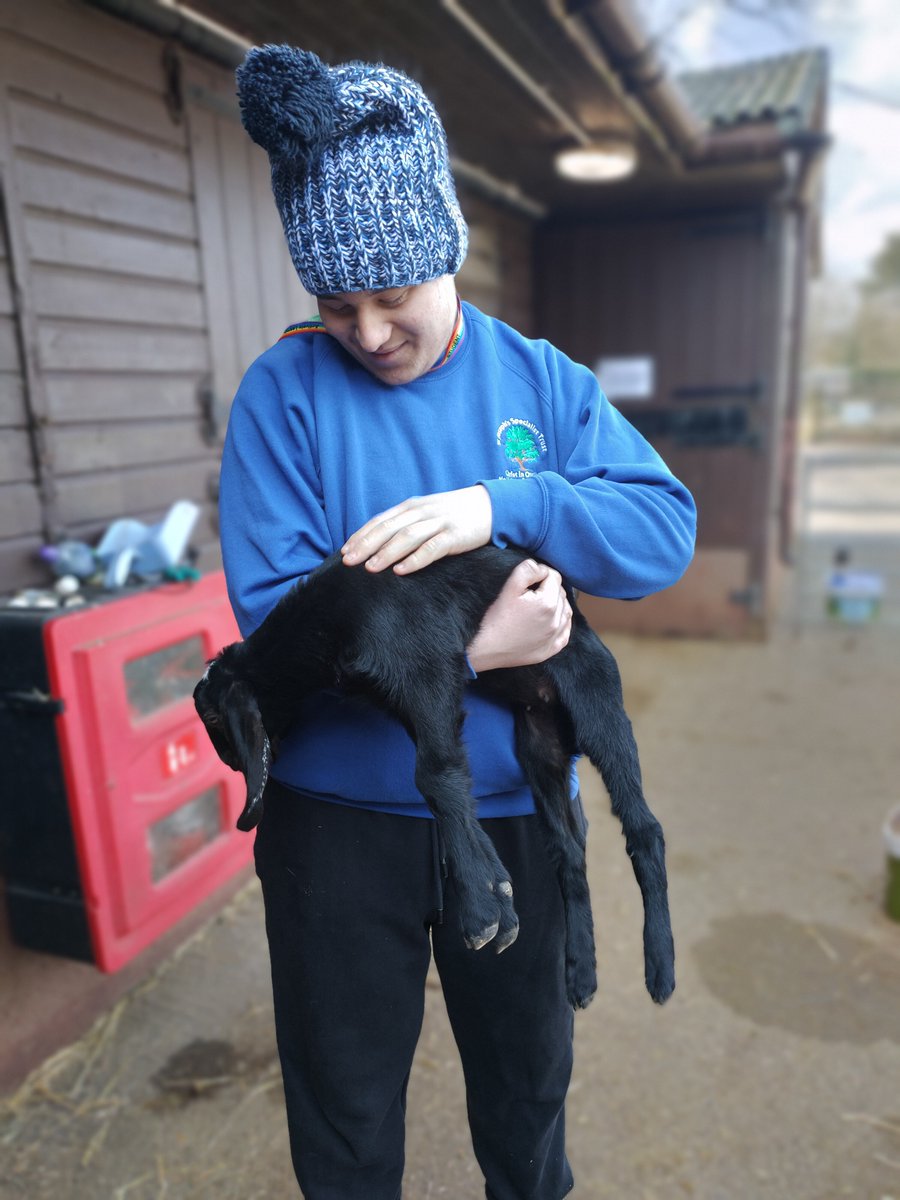 St Joseph's Specialist Trust (@stjoscranleigh) on Twitter photo The Animal Care group had a lovely sunny day to muck out the goat and sheep pens at Merrist Wood. They were rewarded with an opportunity to handle the baby kids and lambs.
#SEN #animalcare 
<a href="/ABDiocese/">Roman Catholic Diocese of Arundel & Brighton</a> 
<a href="/CISCSchools/">CISC</a> The Animal Care group had a lovely sunny day to muck out the goat and sheep pens at Merrist Wood. They were rewarded with an opportunity to handle the baby kids and lambs.
#SEN #animalcare 
<a href="/ABDiocese/">Roman Catholic Diocese of Arundel & Brighton</a> 
<a href="/CISCSchools/">CISC</a>