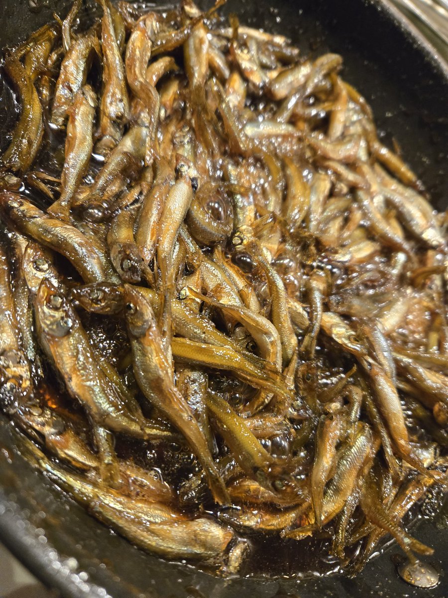 Daichi38288865's tweet photo. ワカサギは��のツマミ作りが楽しみで釣ってます笑笑 https://t.co/lqaUjreFiR