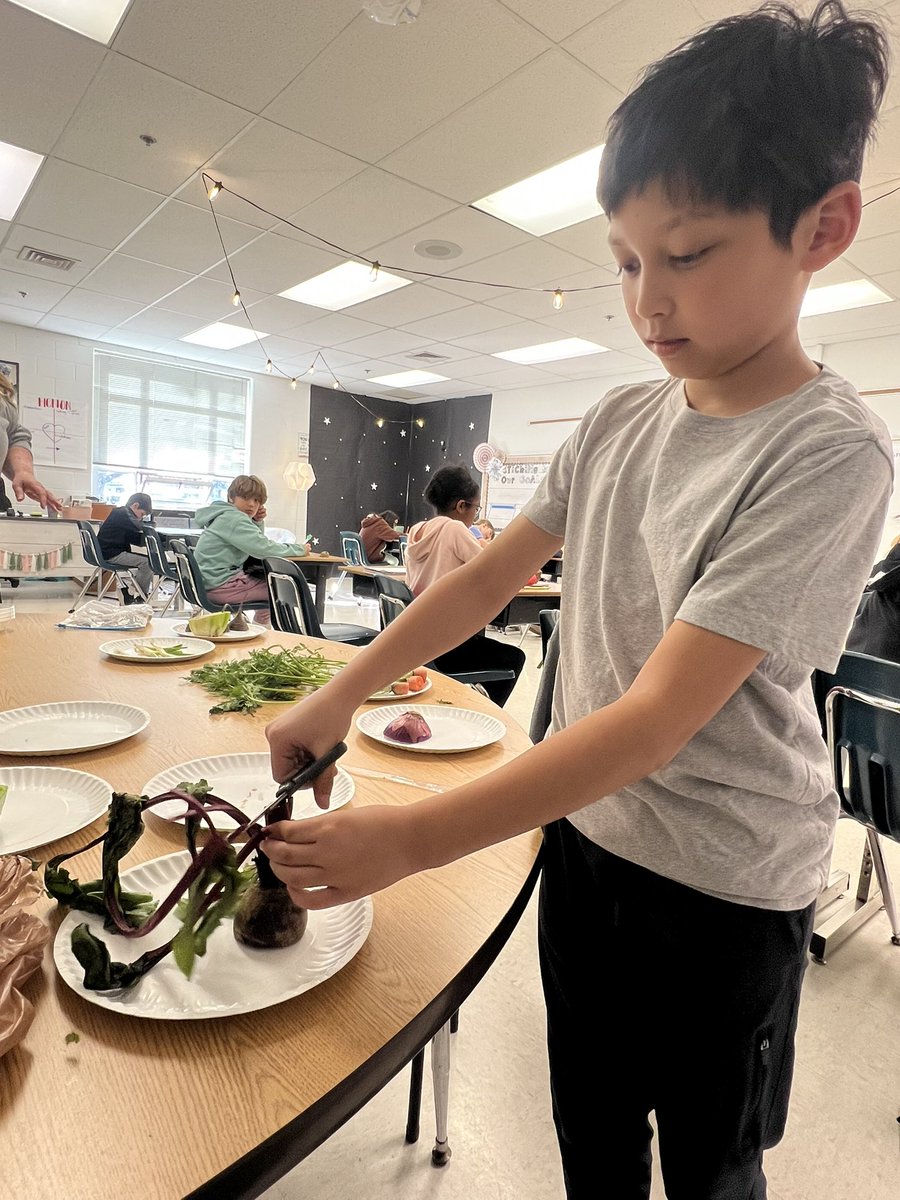 Michelene Kesner (@michelenekesne1) on Twitter photo When HMH and science collide, you get a sustainable garden in your classroom! <a href="/JoshRingling/">Josh Ringling</a> <a href="/cfescolts/">Christopher Farms</a> <a href="/anne_bianchi/">Anne Bianchi Emmons Ed.S.,NBCT</a> <a href="/giftedresourced/">Debra Vickery</a> When HMH and science collide, you get a sustainable garden in your classroom! <a href="/JoshRingling/">Josh Ringling</a> <a href="/cfescolts/">Christopher Farms</a> <a href="/anne_bianchi/">Anne Bianchi Emmons Ed.S.,NBCT</a> <a href="/giftedresourced/">Debra Vickery</a>