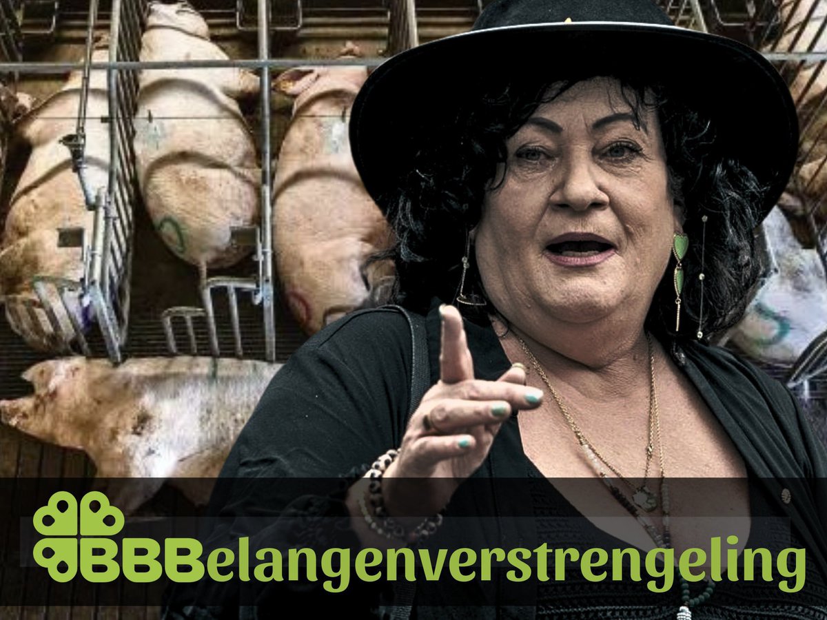 speelmens's tweet photo. Het rubbbertegel landbouwbeleid van BBB dat voor ieder slachtschaap een safespace tegen de natuur eist, begint ons land op te breken. Stop de stagnatie #stopBBB https://t.co/4SLNm3F3ps