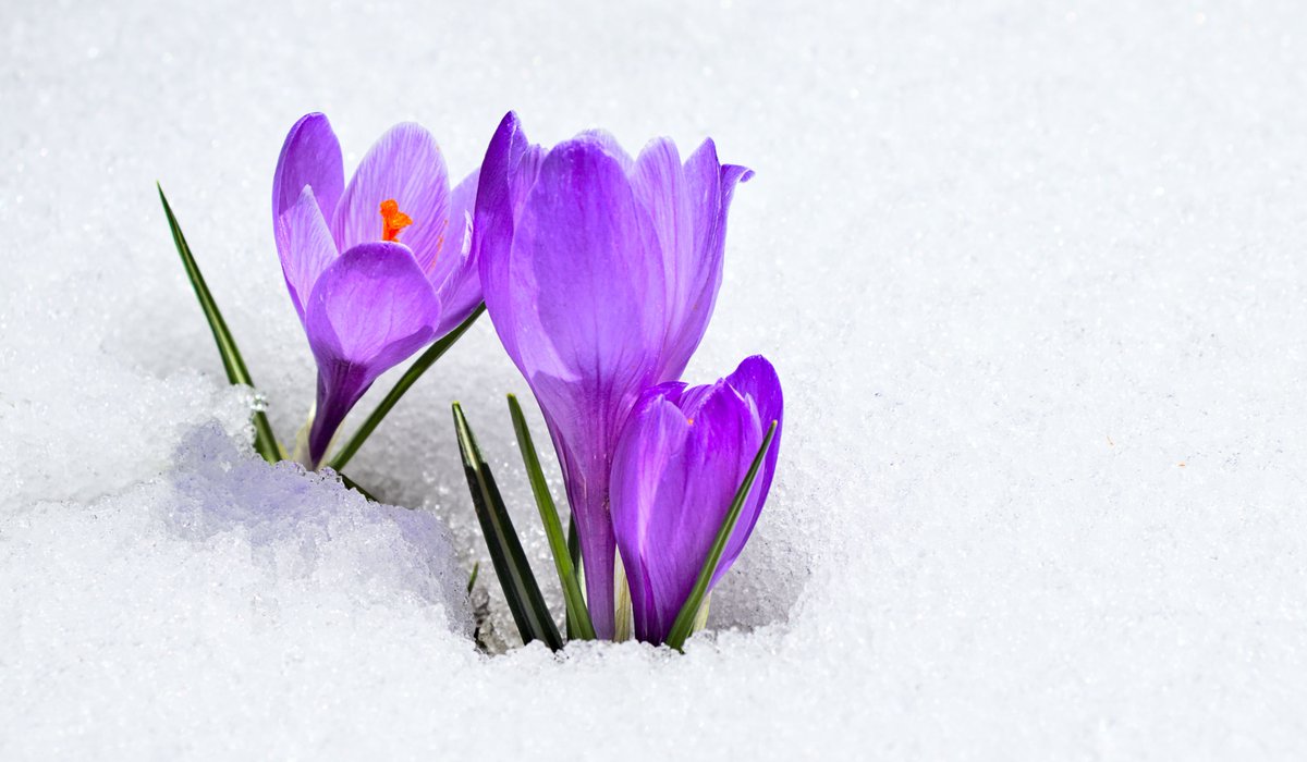 Montana State University  Academic Technology and Outreach  will host the Bozeman Health Forensic Nursing Program for a presentation from 6 to 7 p.m. on April 1 in the Bozeman Public Library’s Community Room. The talk is free and open to the public. ato.montana.edu/abuse-help/