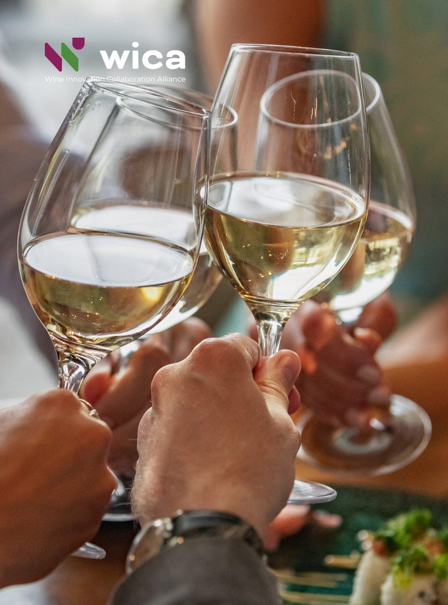ByWica's tweet photo. New consumers are demanding products with different characteristics, and low-alcohol wines are trending all over the globe 🌎

The @OIV_int launched a resolution that supports viable techniques for alcohol reduction in wines.

More info: https://t.co/Vb30S3dJQe

@Clusters_EU https://t.co/ugjoPASehR