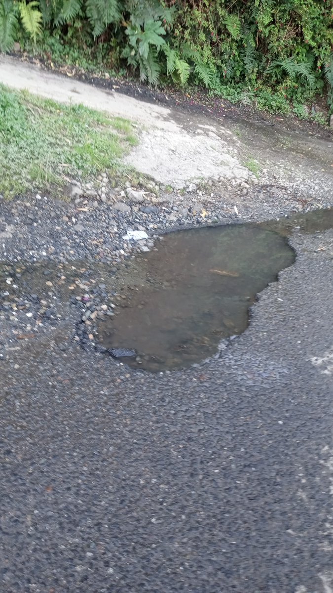 Carolin44886144's tweet photo. Los molinos  ...... urgencia...#ValdiviaCL https://t.co/8FdhSAZTPE