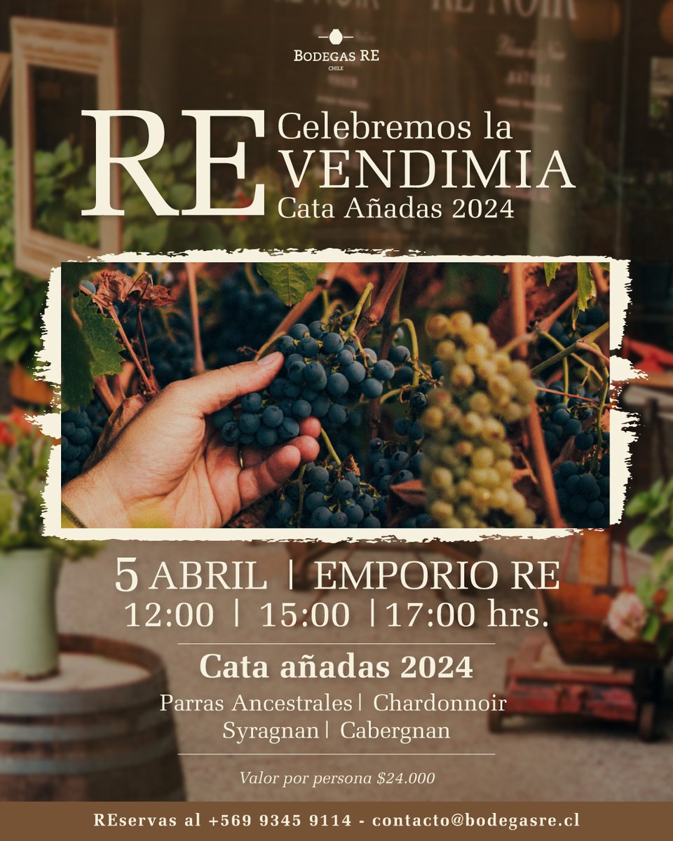 Bodegas RE tweet media