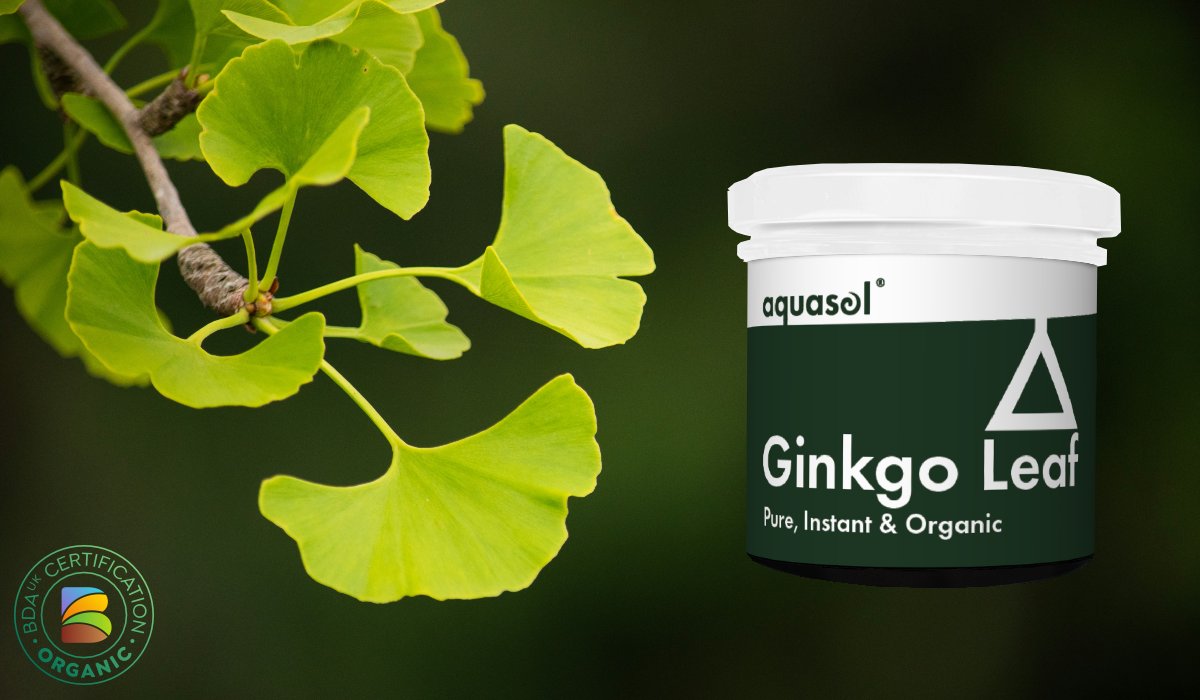 Within our planet Ginkgo trees have existed for over 170 million years with fossils discovered right back to the early Jurassic period. The oldest specimen here in the UK was planted in 1762 and can be seen at Kew Gardens. Learn more here: aquasol.co.uk/organic-ginkgo…