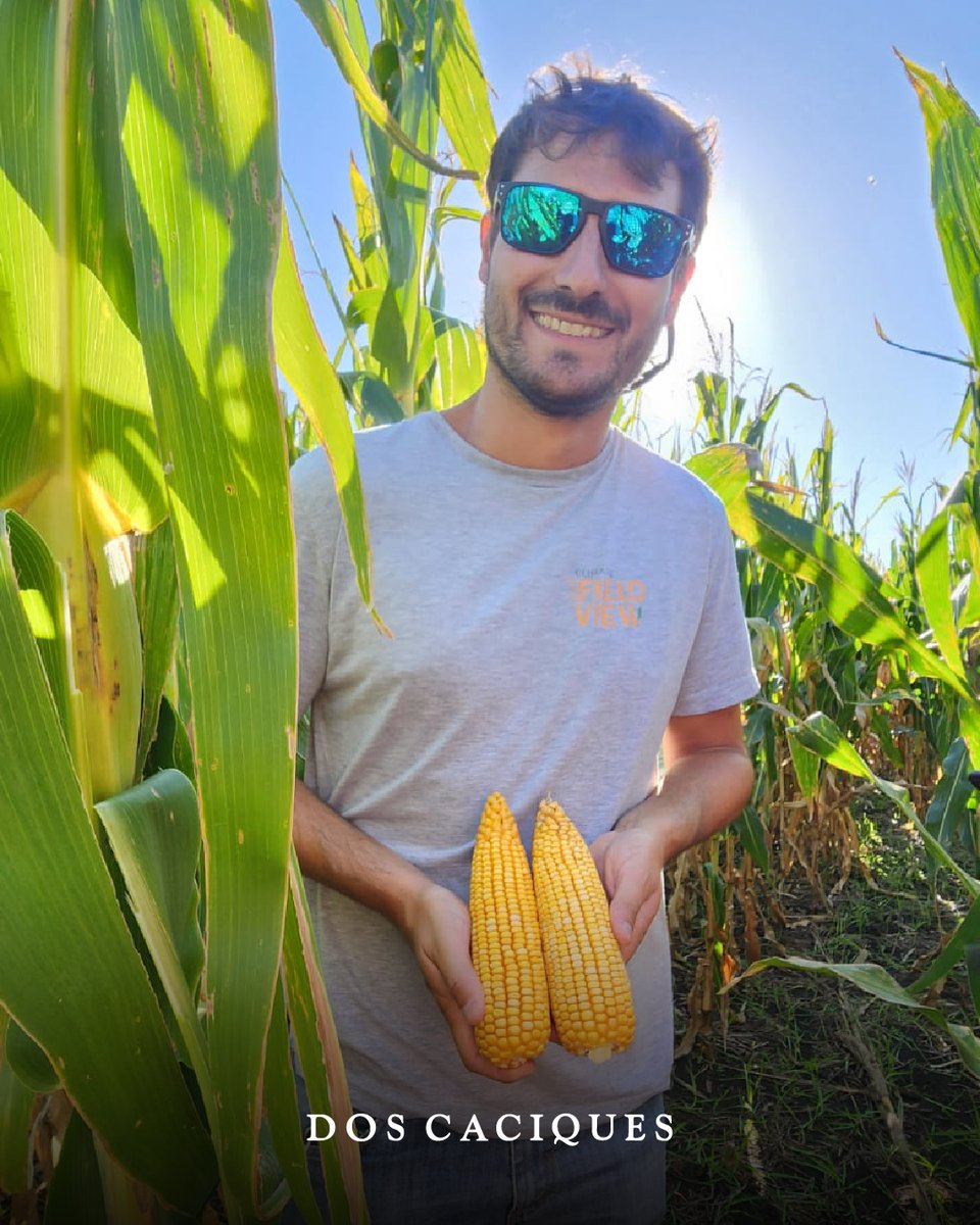 📍Recorrida en “El Parque”

Diferentes híbridos, densidades y dosis de nitrógeno.

Capacitándonos para dar la mejor recomendación 🌽 <a href="/DekalbArgentina/">DEKALB Argentina</a> 

#dekalbargentina #dekalb #campoargentino #doscaciques #agronomia #agro #campo
