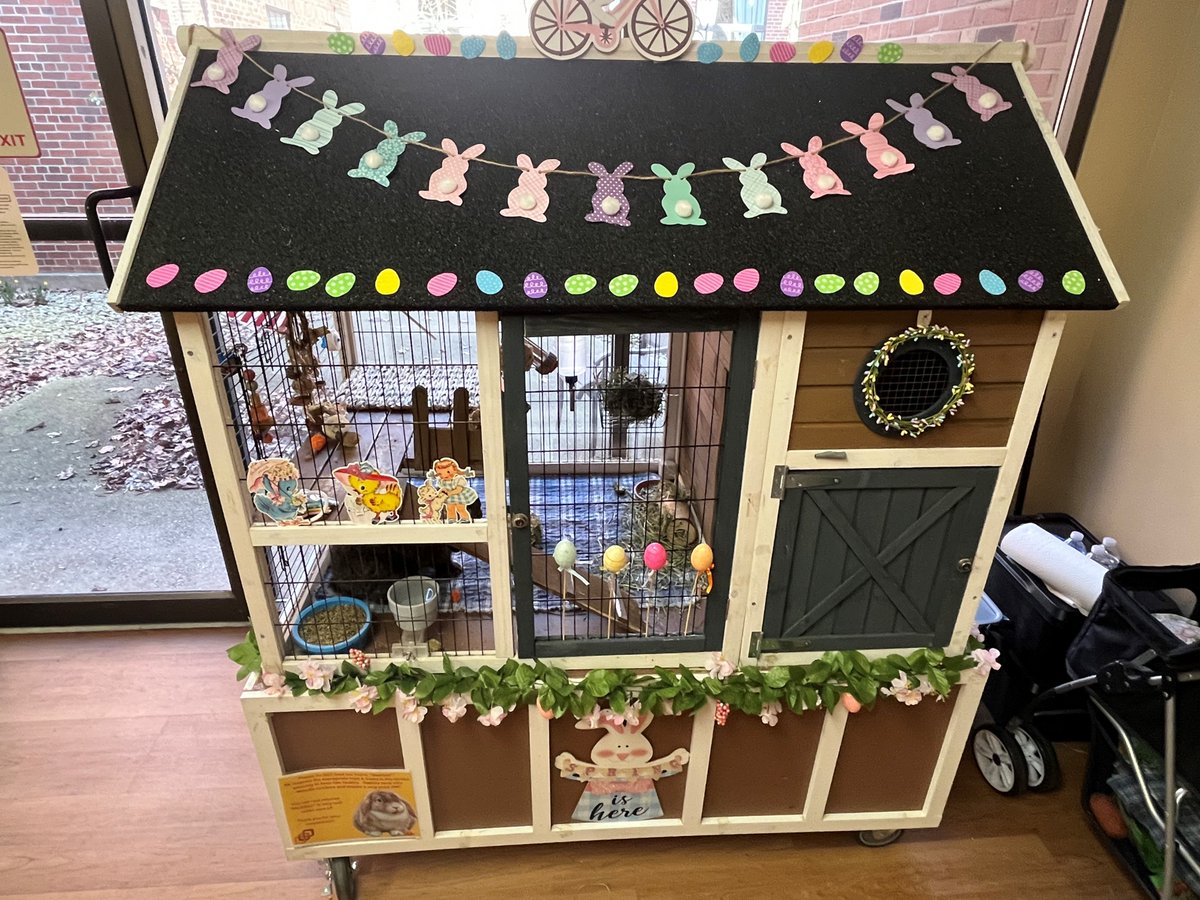 Meatball's hutch is decorated for Spring - a cheery sight on a not-so-Springy day! 🐇💙 #FurryFriends #BecauseFriendsCareAlways