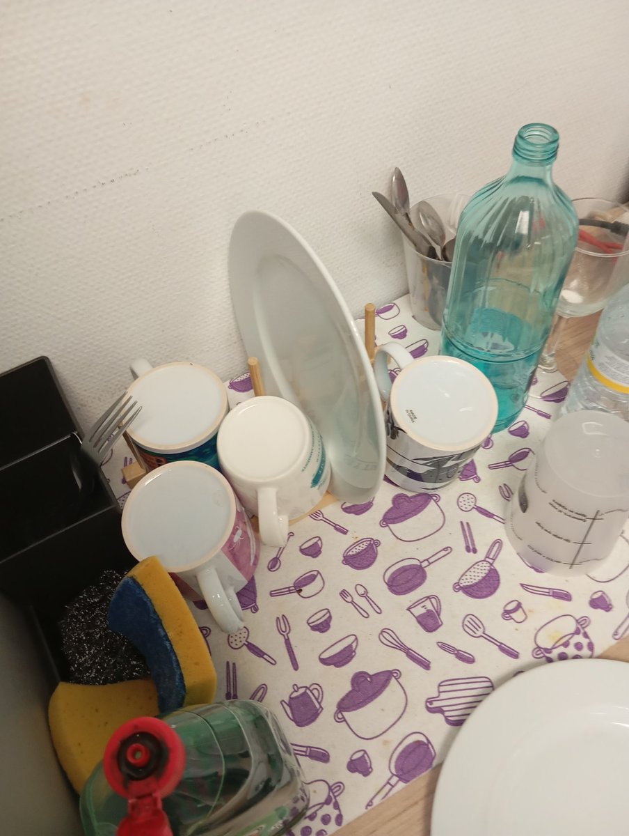 Hoy Jacobo está muy prime, no os vais a creer lo que ha hecho. A fregado 2 platos y la increíble cantidad de 3 tazas. Rompiendo los roles de género!