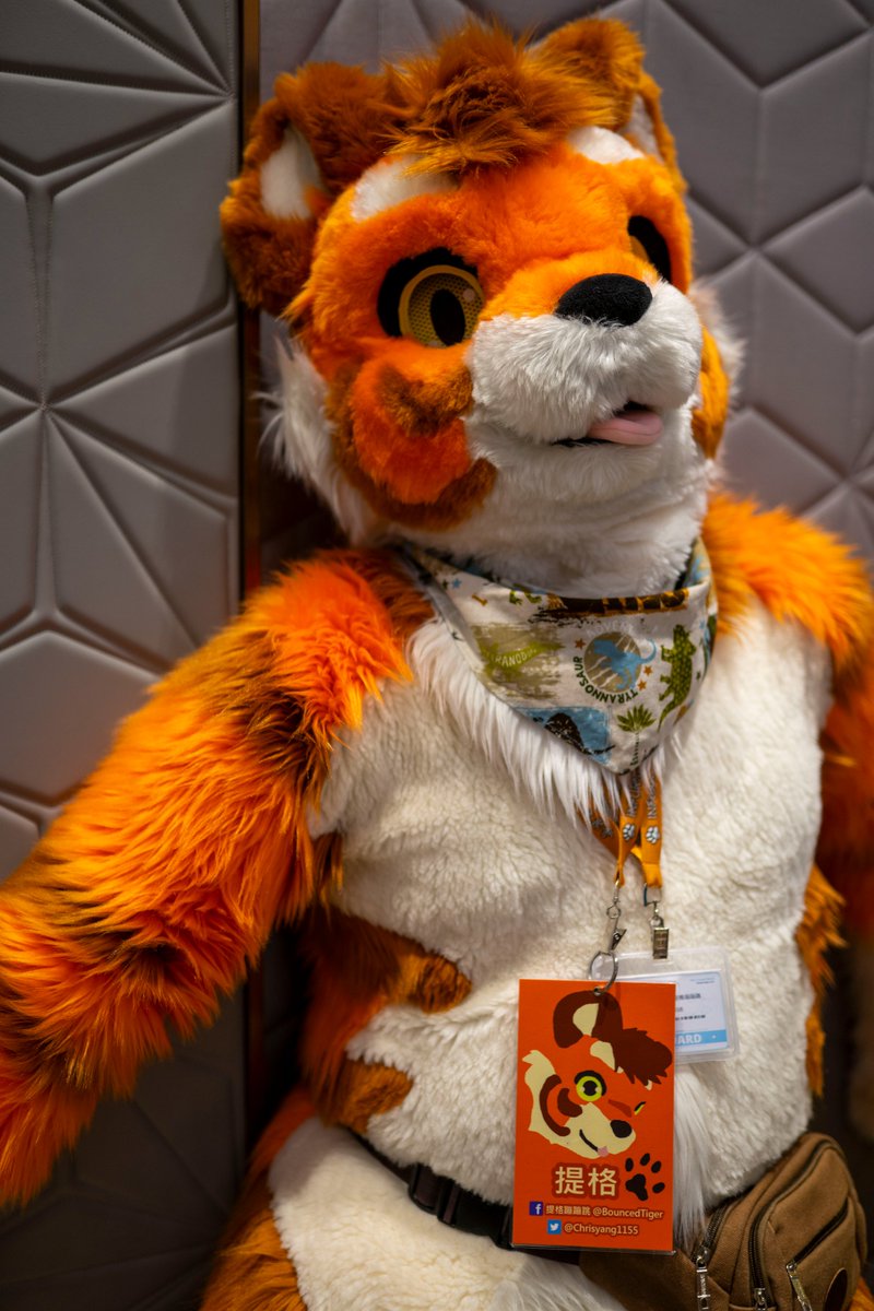 Thaitails 2025
fursuit <a href="/Chrisyang1155/">提格Tigger</a>