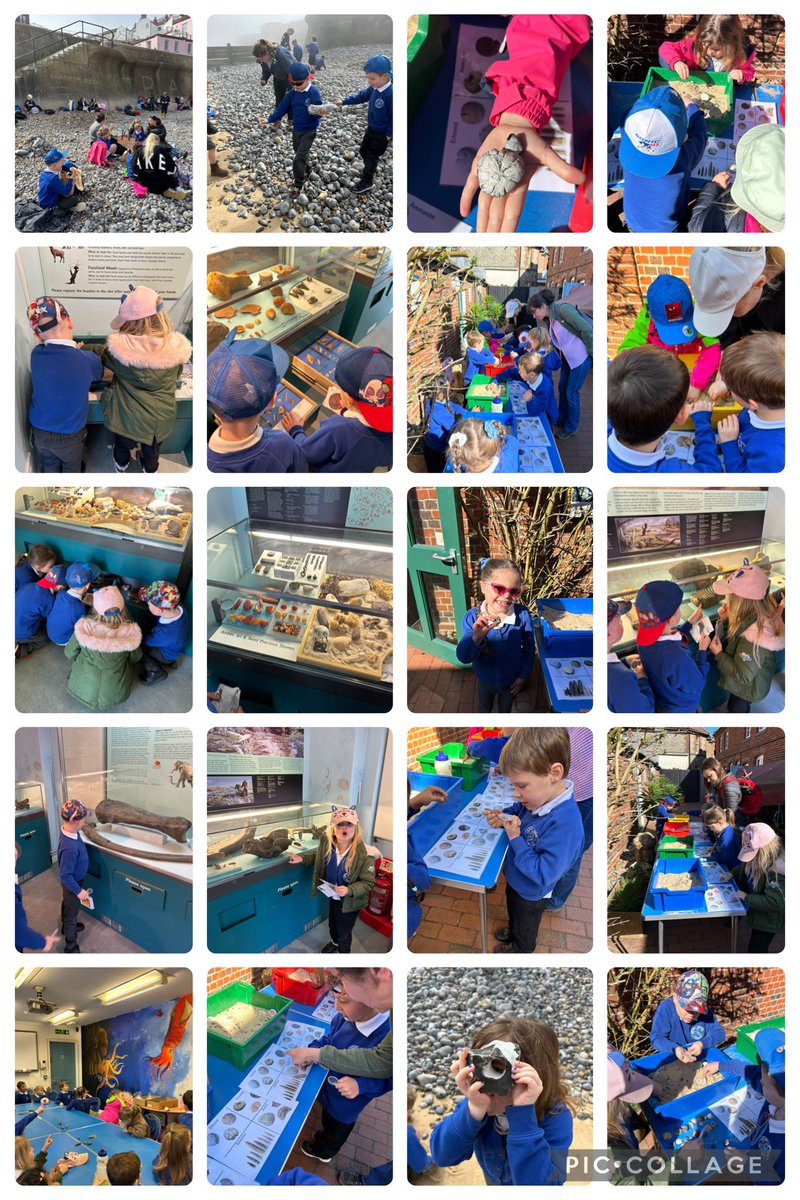 Astley Primary Lions (@astley_primary1) on Twitter photo The lions had the best time at Cromer Museum today! Thank you to all the wonderful people who made it possible!☀️🌊🦴 <a href="/Astley_Primary/">Astley Primary School</a> The lions had the best time at Cromer Museum today! Thank you to all the wonderful people who made it possible!☀️🌊🦴 <a href="/Astley_Primary/">Astley Primary School</a>