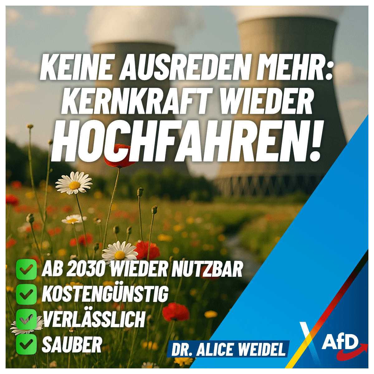 Alice_Weidel's tweet photo. Führende Kerntechnik-Unternehmen machen klar: Bis 2030 könnten 6 abgeschaltete Kernkraftwerke zu "überschaubaren Kosten" zurück ans Netz, um "Strompreise zu dämpfen, Klimaschutz &amp; Versorgungssicherheit zu stärken". Die CDU hat keine Ausreden mehr: Kernkraft wieder hochfahren! https://t.co/X6lc22zdJy