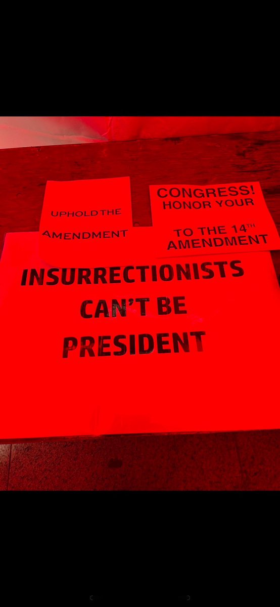 Ingridebap's tweet image. Not me since Trump is already an #IllegitimatePOTUS as per our U.S. Constitution 14.3.

FACTS: TFG incited an insurrection/rebellion &amp;amp; hasn’t been held accountable yet. Obviously the 2020 coup attempt is still ongoing while he’s dishonoring his oath of office.  14.3 #NullVoids