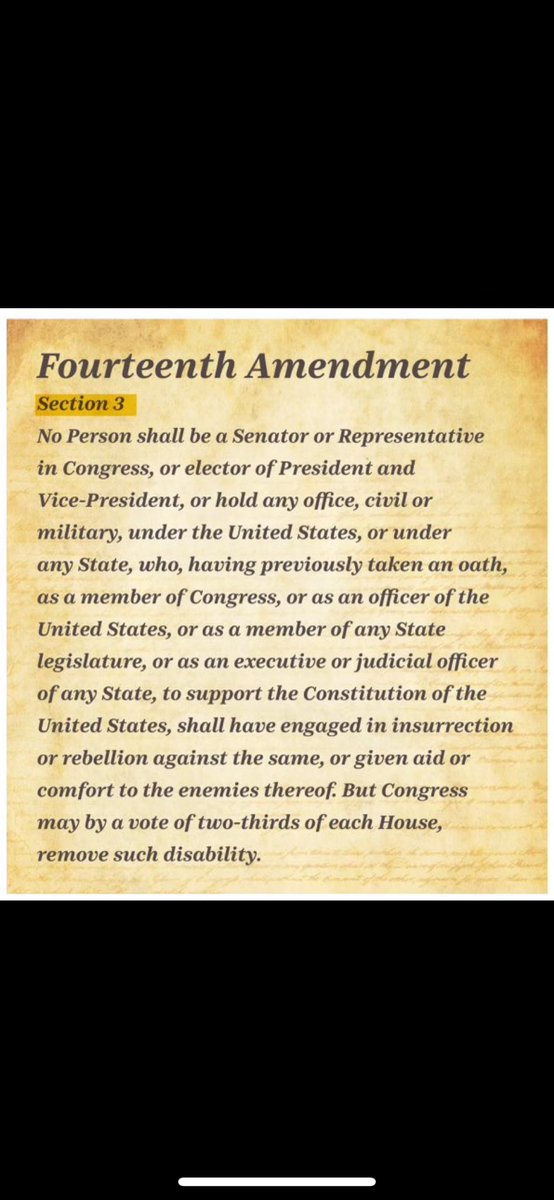 Ingridebap's tweet image. Not me since Trump is already an #IllegitimatePOTUS as per our U.S. Constitution 14.3.

FACTS: TFG incited an insurrection/rebellion &amp;amp; hasn’t been held accountable yet. Obviously the 2020 coup attempt is still ongoing while he’s dishonoring his oath of office.  14.3 #NullVoids