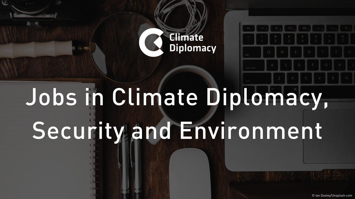 💡Did you know that our knowledge platform has a Careers section with #job vacancies on #ClimateDiplomacy, Peace &amp; Security and Environment?  
🔗 adelph.it/Jobs🔗

#hiring #ClimateJobs #NGOJobs #ClimateCareers
