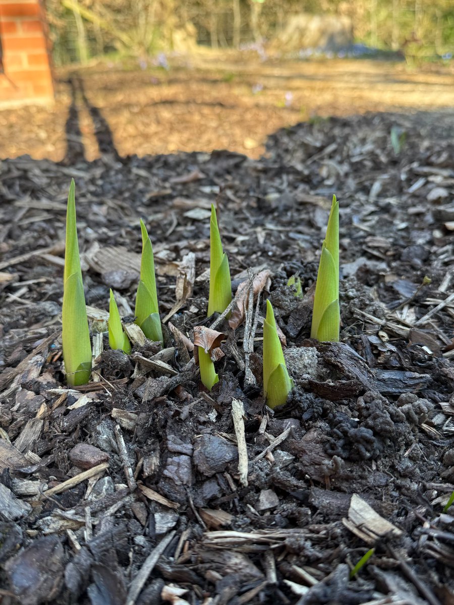 Sienna Hosta tweet media