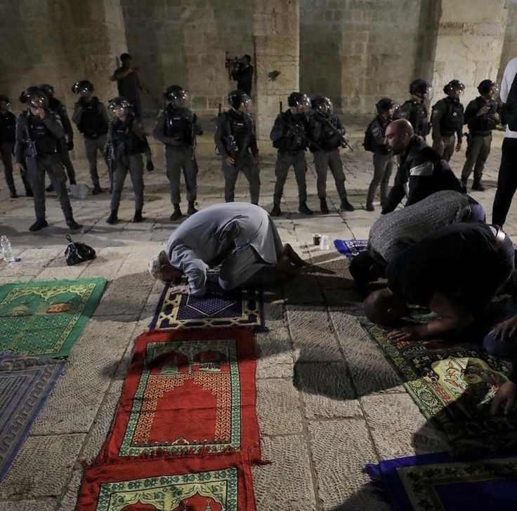 Diğerkâm tweet media