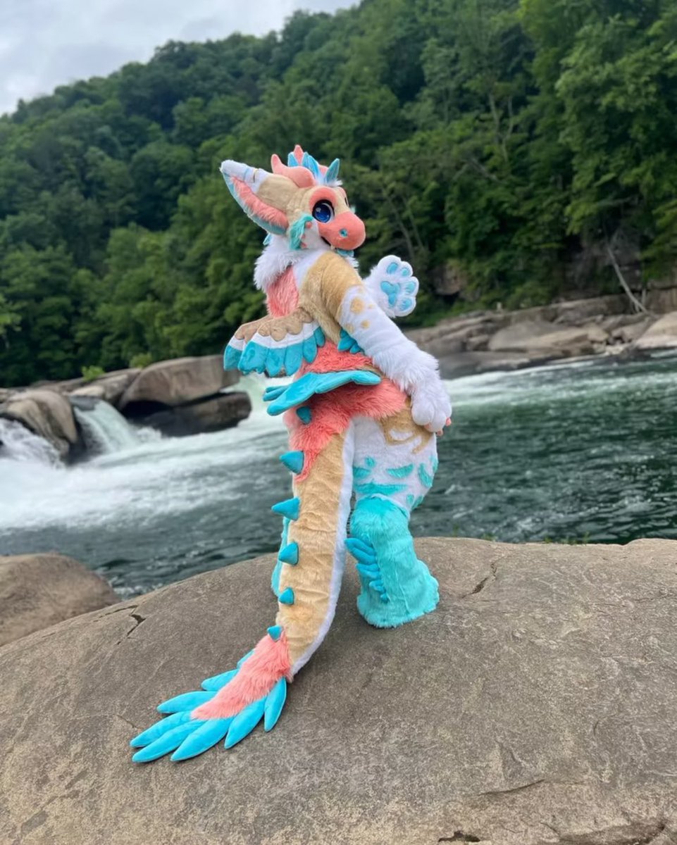 Hey y’all! A client had to cancel their slot due to emergency financial stuff. 

So I am looking to fill their slot, by selling their a lot as they have already made payments on the suit. 

Open to partial suit, body suit, or full suits! With a start date of late 2025. 

Minimum