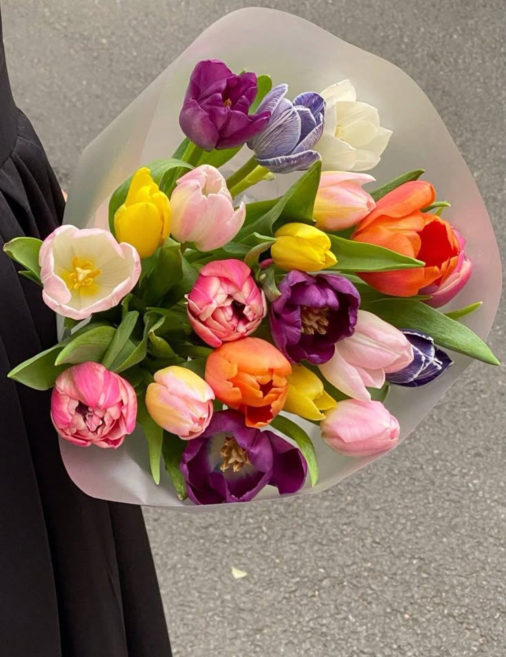 Only Tulips (@tutututututulip) on Twitter photo 