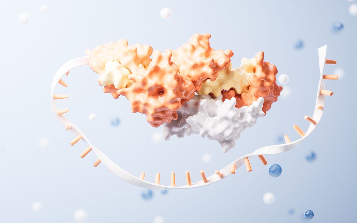 Tsinghua_Uni's tweet image. Balancing #reproduction &amp;amp; #lifespan? #InnovativeTsinghua reveals that fruit flies switch to a #protein-rich diet after mating, boosting fertility while managing energy for both. This offers insights into the link between protein intake, #aging, and #health.