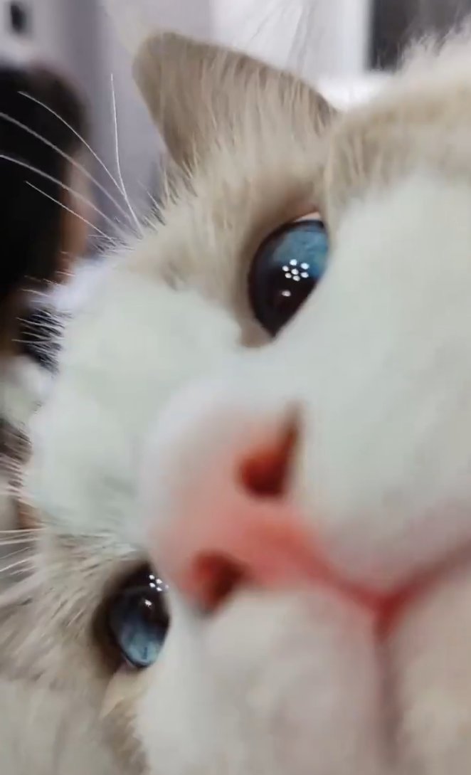 Can I come over and stare at you like this?