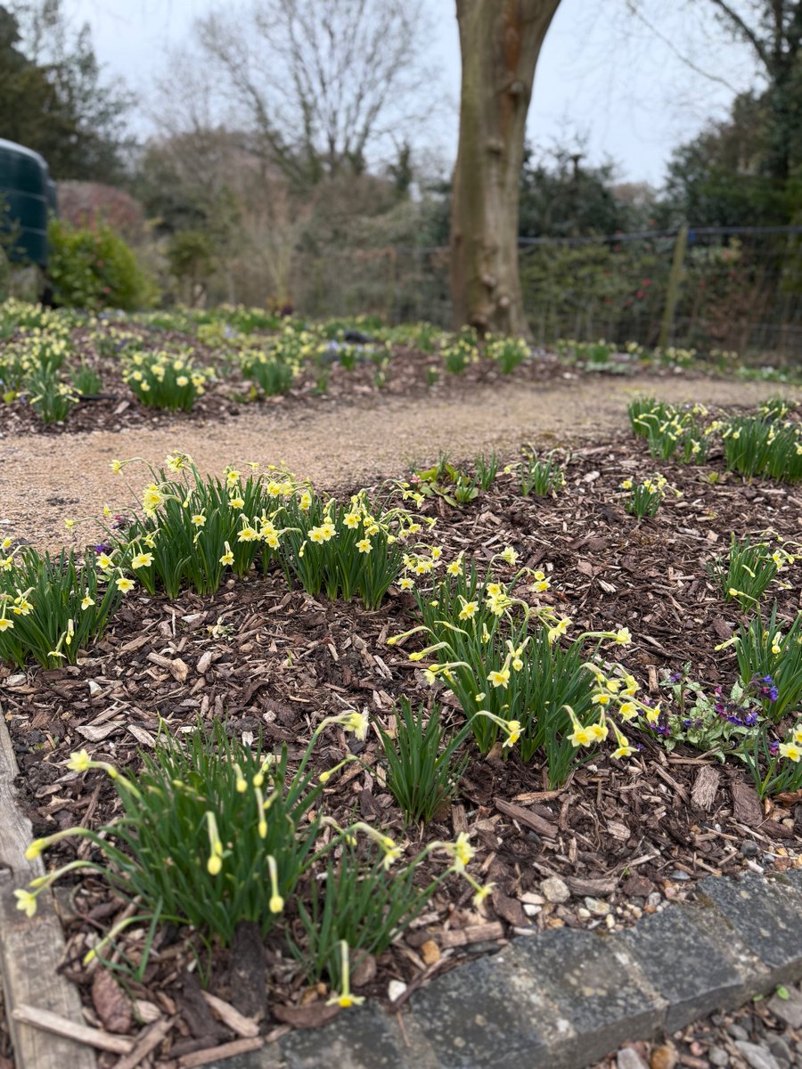 Sienna Hosta tweet media