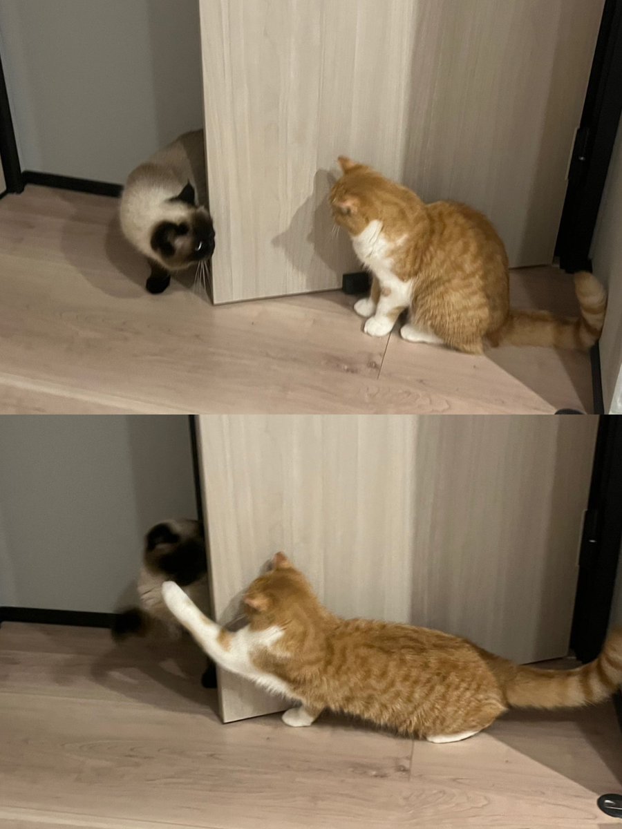 moe✌︎ (@moe72346688) / Posts / X