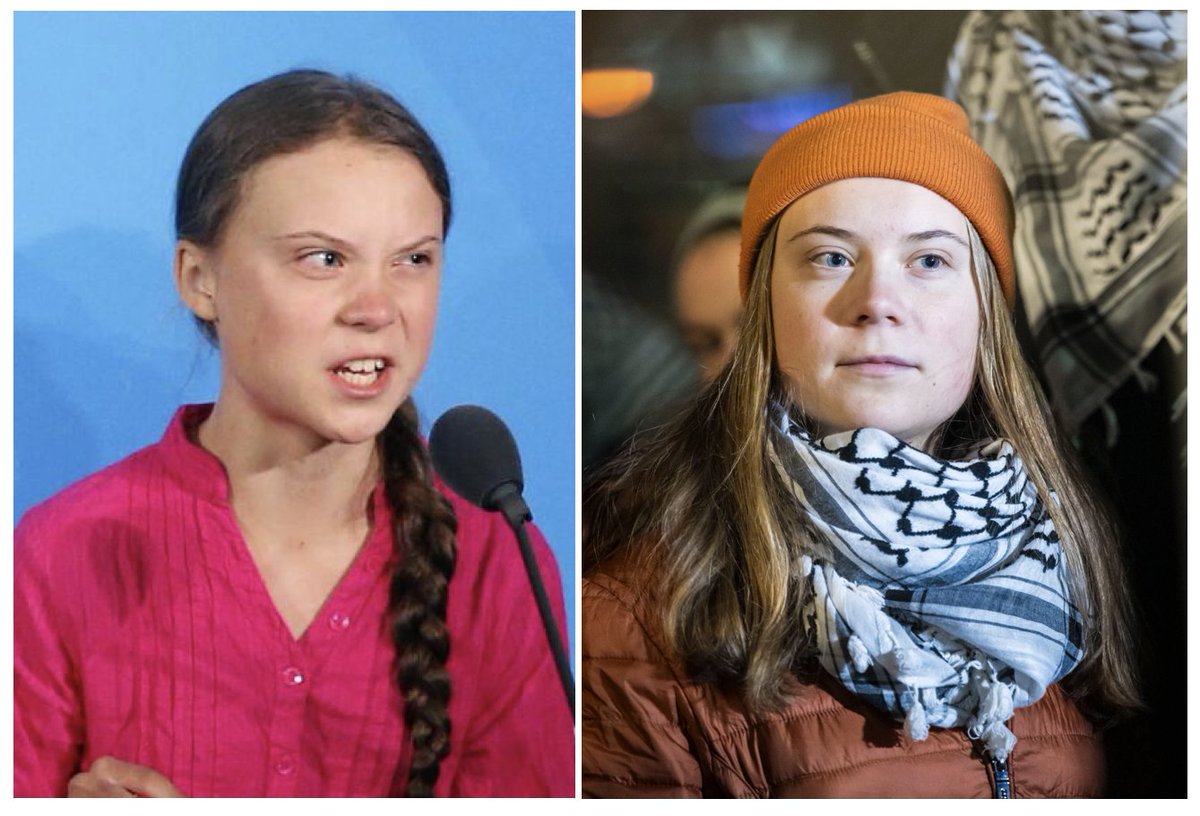 Michael Shellenberger tweet media