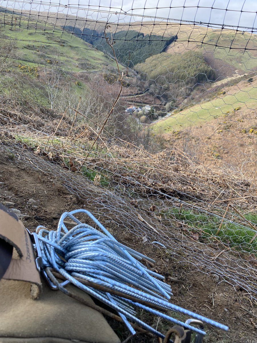 grj243's tweet image. Found them a nice place @CollinsNets #Pennal #MidWales🏴󠁧󠁢󠁷󠁬󠁳󠁿