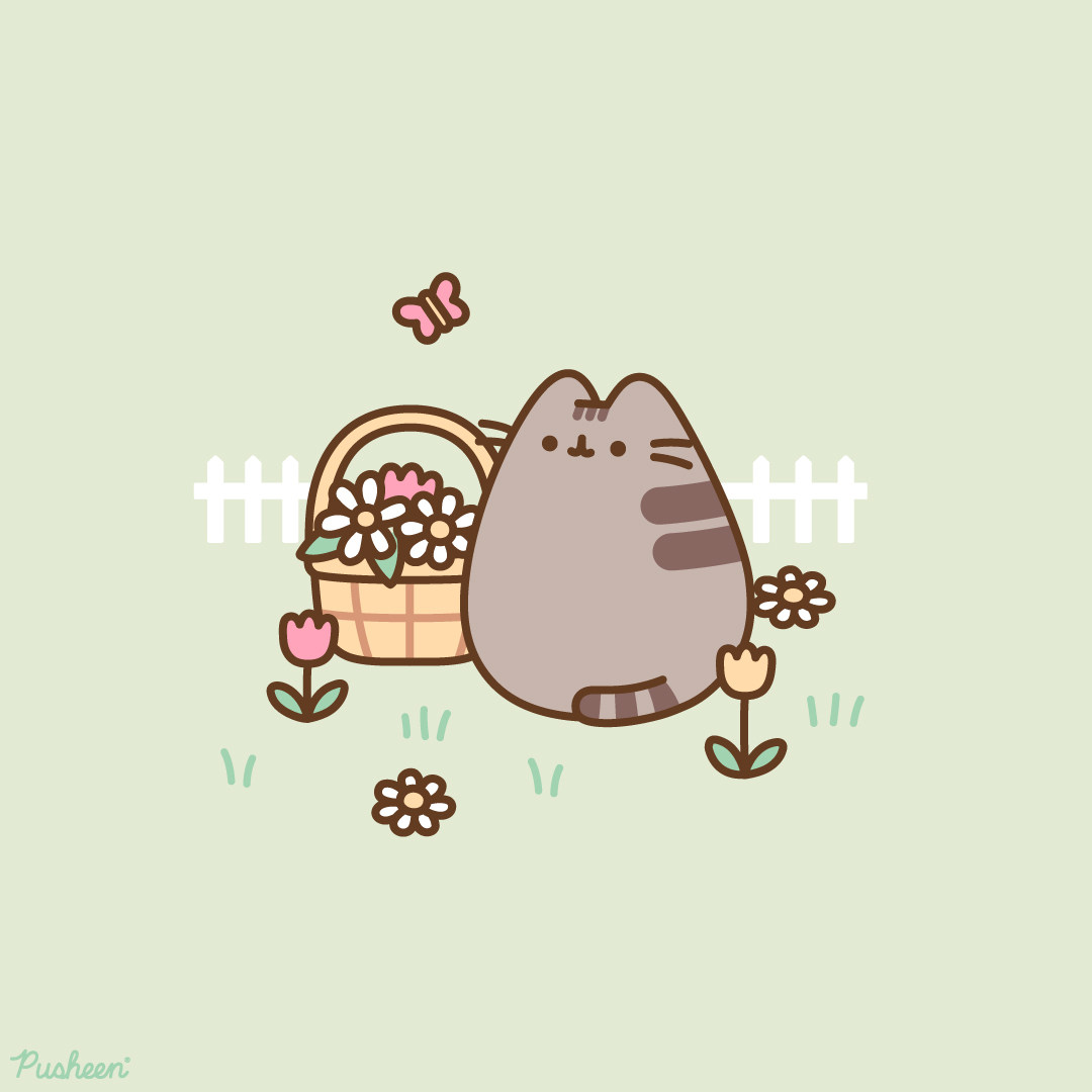 Pusheen the cat tweet media