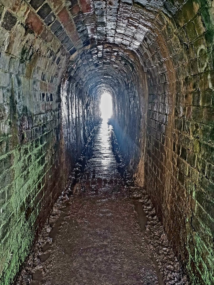 There's light at the end of the tunnel
#IronTrunkAqueduct
#OuseValleyPark 
#Wolverton 
#MiltonKeynes