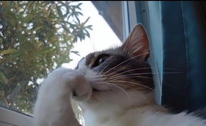 كم نسبة اصل 1000 متابع قبل العيد؟