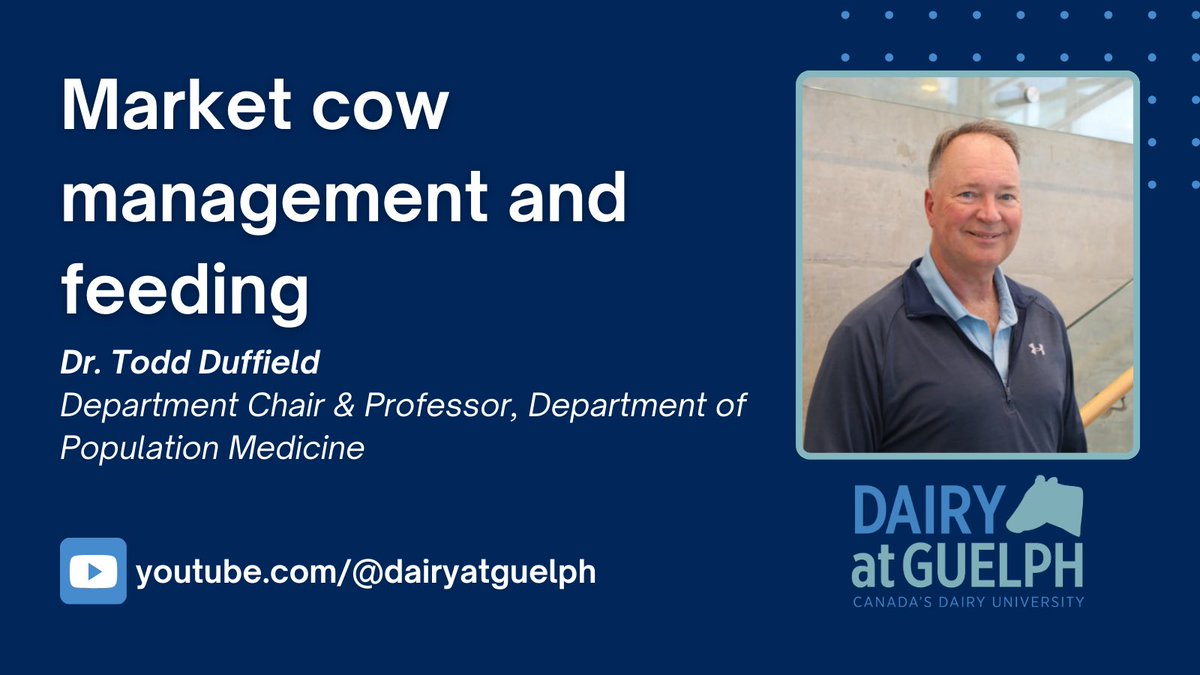 At our annual research showcase, Dr. Todd Duffield presented recent work that found a positive impact of a 60-day feeding period on the fitness of market cows for transportation and their overall condition. 

This presentation is available here ➡️  youtu.be/SkDA1RyhEvo?si…