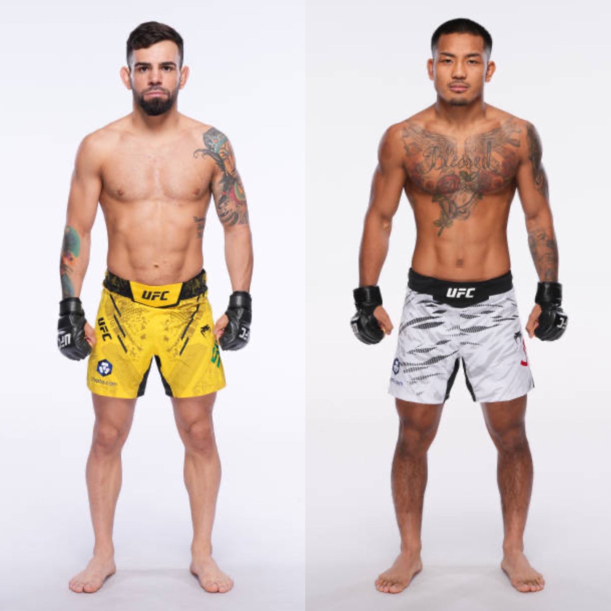 MMA Orbit tweet media