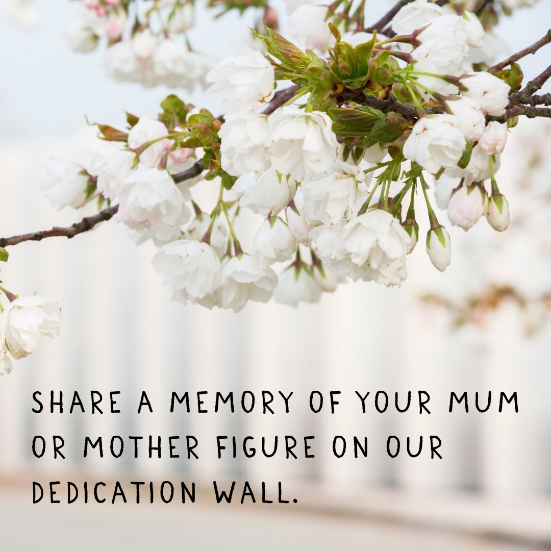 Celebrate the memory of your mum or mother figure on our special dedication wall. To share a memory visit: maggiesmothersday.dedicationpage.org/?utm_source=X&…
#MothersDay