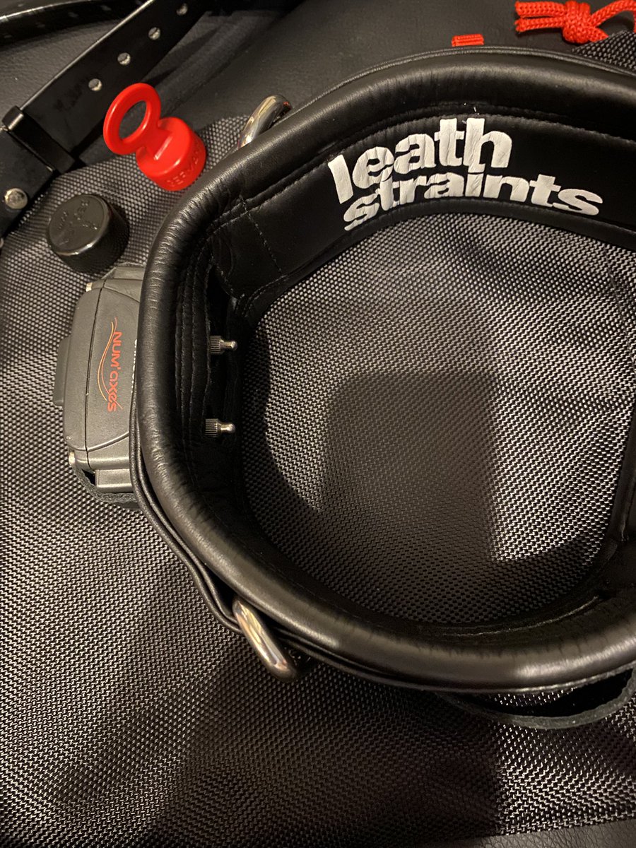 The new shock collar arrived ⚡️😈