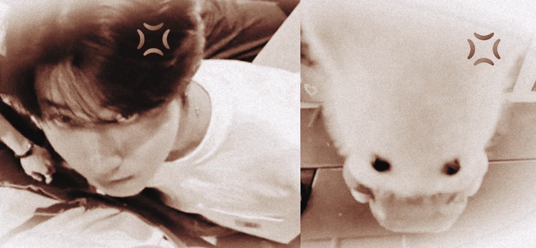 ᅠ                                        ᅠ               ˉ͈̀꒳ˉ͈́