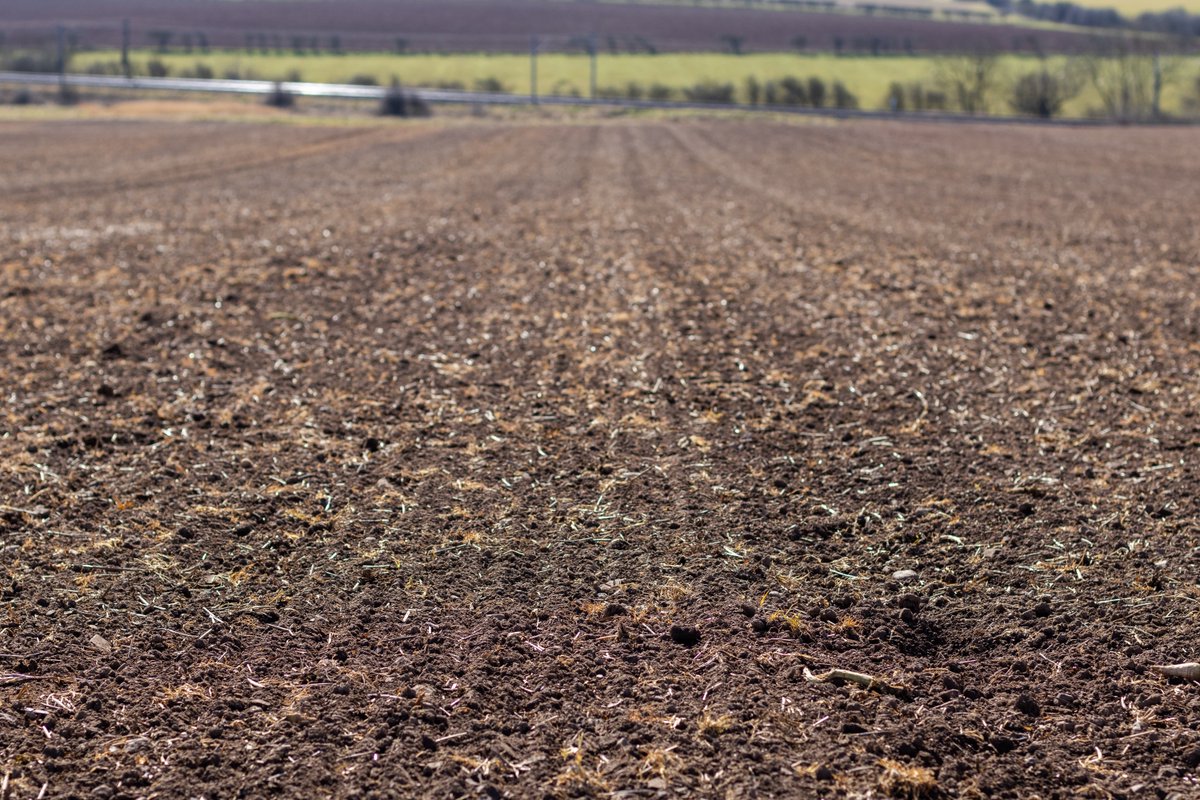 🌧️ 2024: Drilled April 25
☀️ 2025: Drilled March 17
 
The season is off to a flying start, with our spring barley variety trials site at Beal Farm in Northumberland drilled four weeks earlier than last year due to some fine spring weather 🚜💨
 
More this week 👀➡️