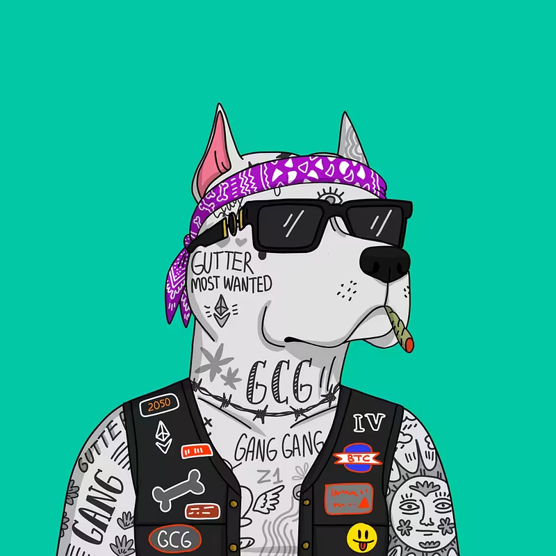 So fuckin' back. Gang Gang on ApeChain!