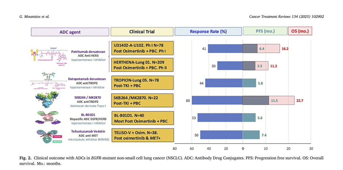 JordiRemon's tweet image. We had efficacy data ADCs after osi-PD in EGFRm NSCLC. Today good mPFS (9.5-11.7) with Osi+DatopotamAb Dxd after osi-PD. Data looks ➕promising than chemo+Amiv. Better 🧠 protection maintaining osi? Biomarker for dato? Toxicity is imp. Future trial: osi-DATOD vs Ami-CT? #ELCC25