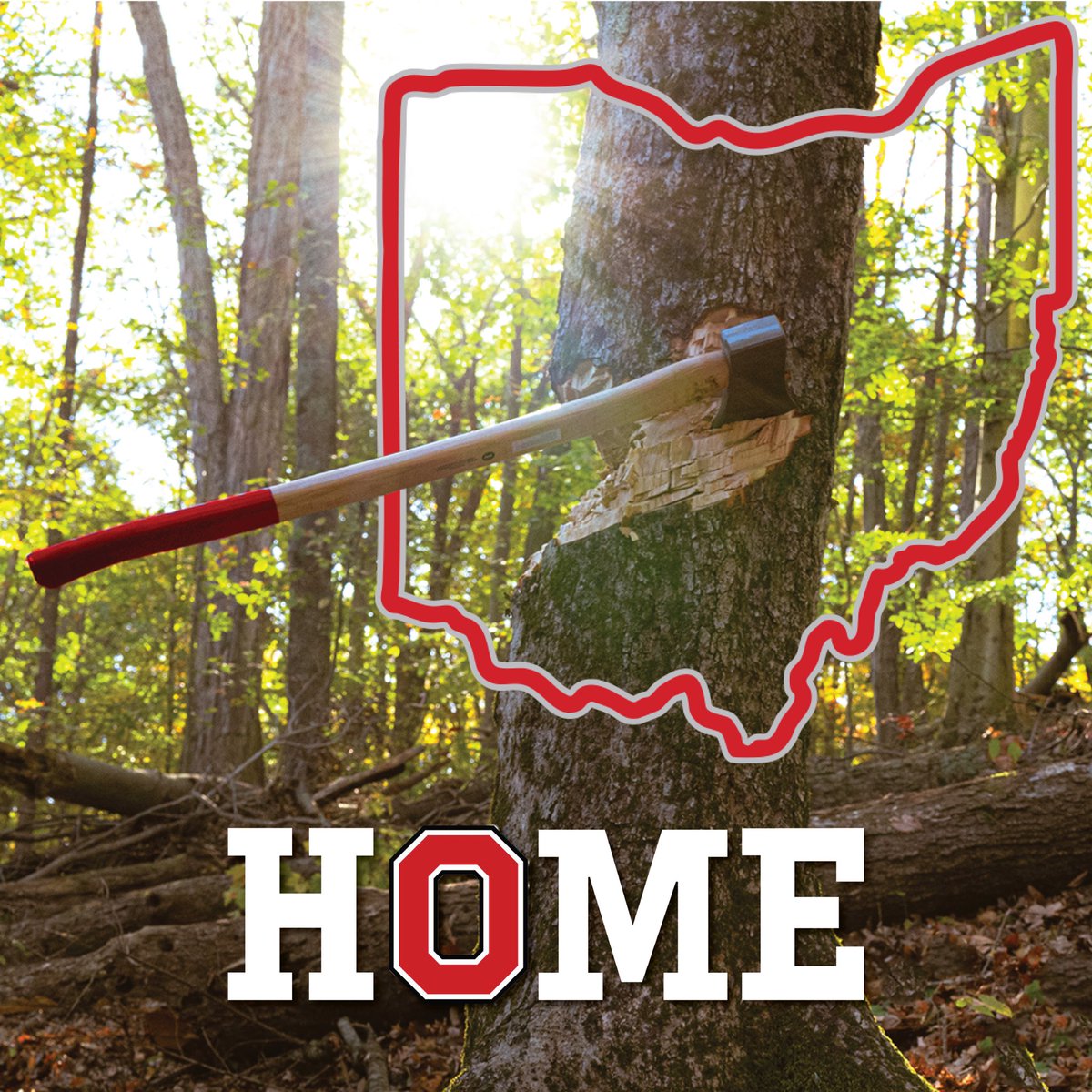 Let’s work <a href="/OhioStateHoops/">Ohio State Hoops</a> 🪓🌰  #GoBucks