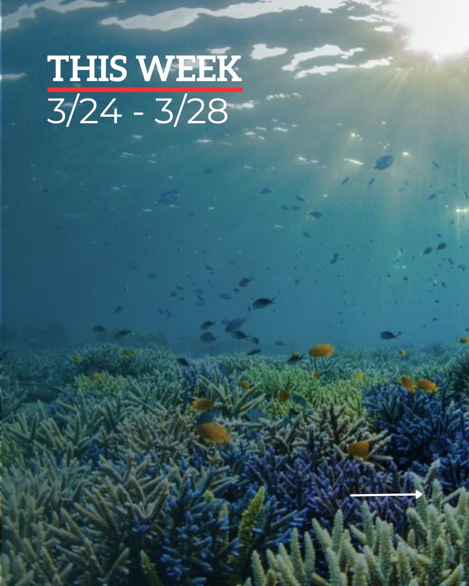 ExploringByTheSeat - Find us on BlueSky tweet media