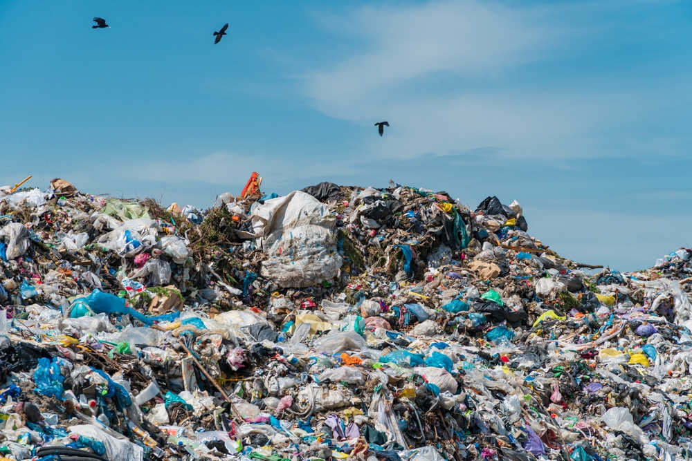 PNAS Nexus tweet media