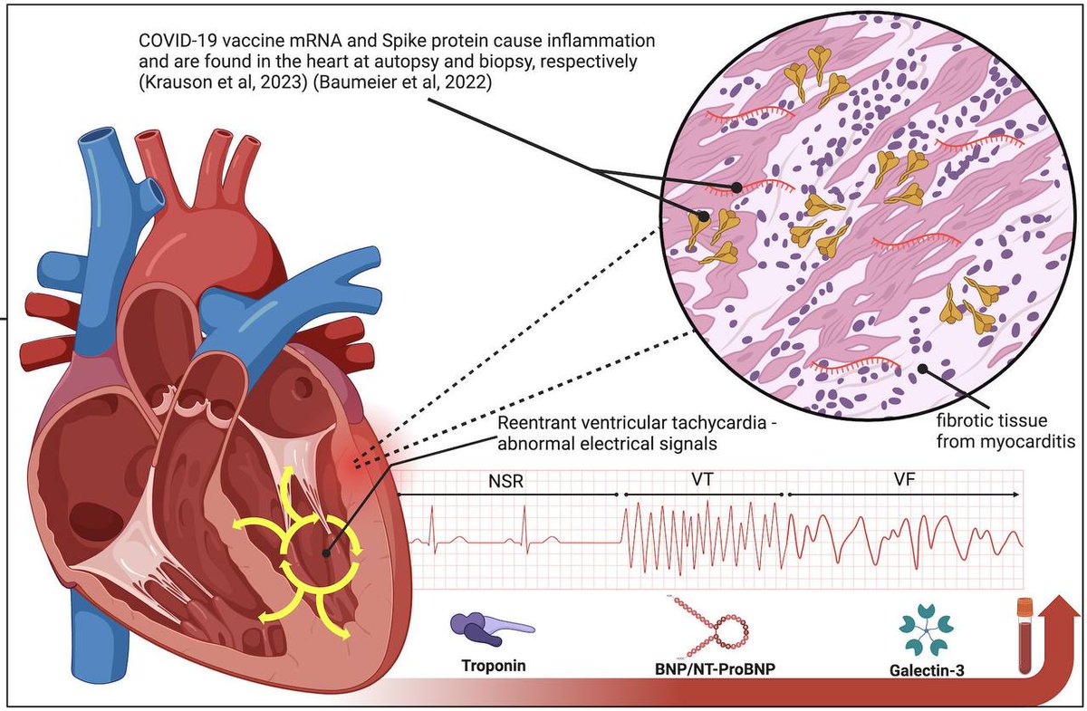 Dra. Natalia Prego Cancelo MD tweet media