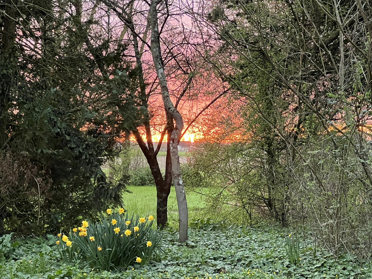 Magie du soir…